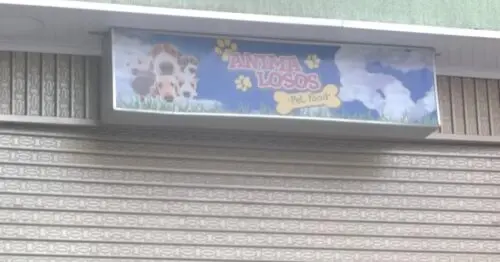 ANIMA LOSOS PET FOOD BOGOTÁ ANIMA LOSOS PET FOOD BOGOTÁ